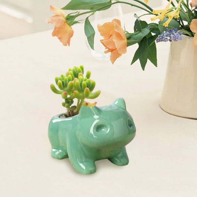 Pot De Fleur Pokémon Bulbizarre