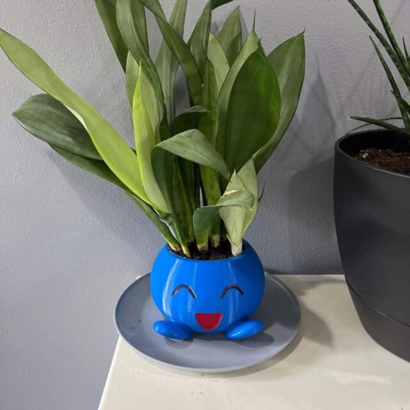 Pot De Fleur Pokémon Mystherbe Design 3D