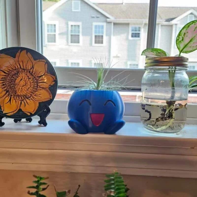 Pot De Fleur Pokémon Mystherbe Design 3D